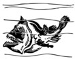 Fish Ogcocephalidae in the water