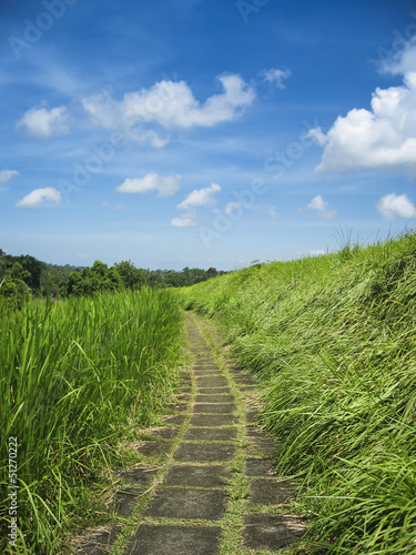 Photo: country path ubud bali indonesia country path ubud bali indonesia