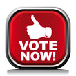 VOTE NOW! ICON