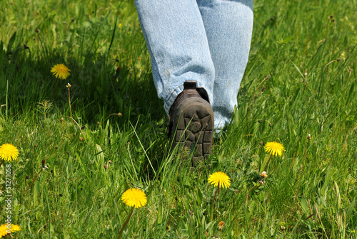 Photo: wandern wandern