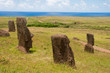 Moais at Rano Raraku volcano, Easter island (Chile)