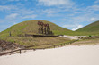 Moais near Anakena beach, Easter island (Chile)