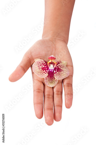 Photo: Black African American woman hand holding an orchid flower Black African American woman hand holding an orchid flower