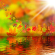Bunte Herbstblätter, Herbsthintergrund