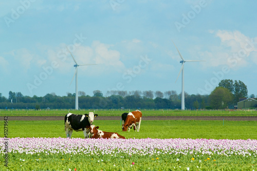 Photo: Landscape in Holland Landscape in Holland