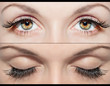 EYE AND FALSE EYELASHES