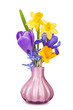 Colorful spring flowers in a vase