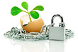 "The plant in the egg shell apart,wound chain and padlock"