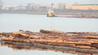 Fraser River, Tugboat Towing Log Boom