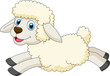 Cute sheep jumping