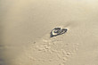 Dunas