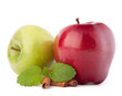Red and green apples, cinnamon sticks and mint leaves still life