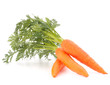 Carrot vegetable with leaves