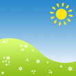 Himmel, Sonne und grüne Wiese