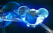 Pelvic Girdle