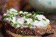 Frischer Quark mit Kräutern
