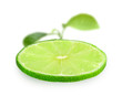 Slice of fresh lime