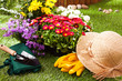 Concept Jardinage