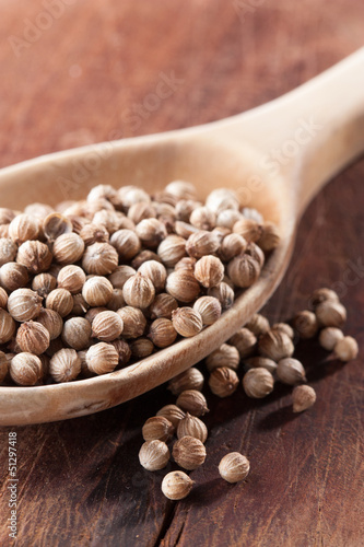 Photo: Dry coriander seeds on a spoon Dry coriander seeds on a spoon
