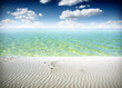 Idyllic tropical sand beach