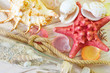 shells