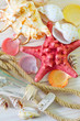 shells