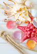 shells