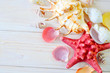shells