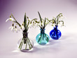 Foto: Schneeglöckchen in der Vase Schneeglöckchen in der Vase