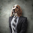 Funny portrait of a dog in a suit