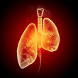 Schematic illustration of human lungs