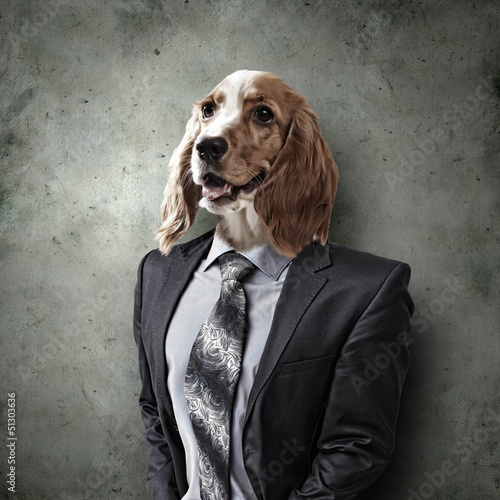 Photo: Funny portrait of a dog in a suit Funny portrait of a dog in a suit