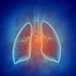 Schematic illustration of human lungs