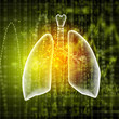 Schematic illustration of human lungs