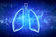 Schematic illustration of human lungs