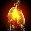 Schematic illustration of human lungs