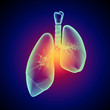 Schematic illustration of human lungs