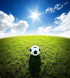 football field soccer stadium on the green grass blue sky sport