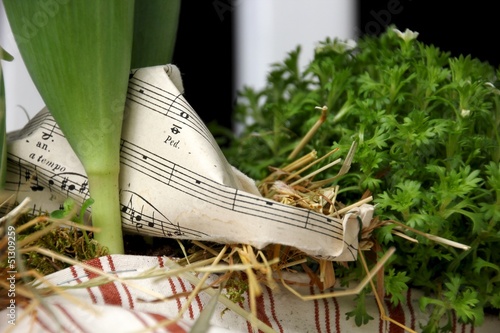 Photo: Garten Garten