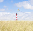 Leuchtturm auf Amrum