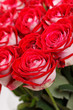 red roses