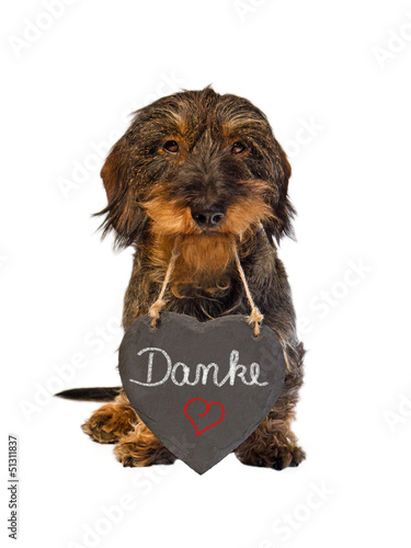 Photo: Dackel mit Schieferherz, Danke Dackel mit Schieferherz, Danke