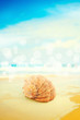 Seashell over sea bokeh background