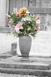 Flowers on the tombs