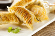 Homemade Asian Vegeterian Potstickers