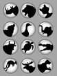 Animal Silhouettes 1, black and white icons