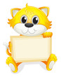 A happy kitten with an empty board