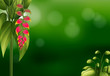 Vetor: A green stationery design with pink flowers A green stationery design with pink flowers