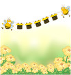 The two bees and the hanging clothes