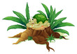 A turtle above a trunk